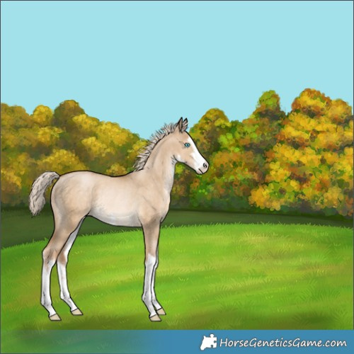 Horse Color:White Spotted Chocolate Palomino Pearl Dun Rabicano 