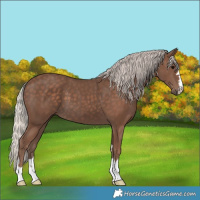 Horse Color:Silver Black 