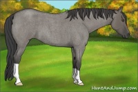 Horse Color:Smoky Grullo Roan 