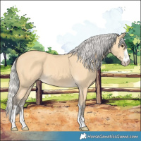 Horse Color:Silver Buckskin 