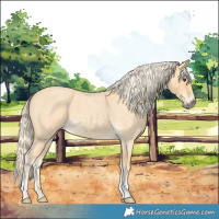 Horse Color:Palomino Roan