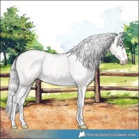 Horse Color:Cremello
