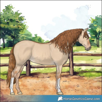Horse Color:Red Dun