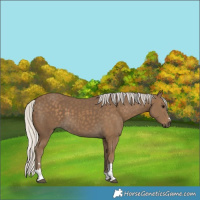 Horse Color:Silver Smoky Black Tobiano