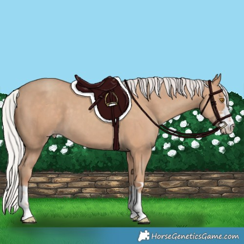 Horse Color:Silver Classic Champagne 