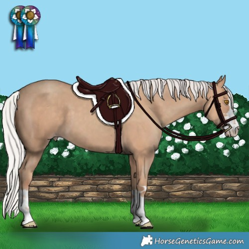 Horse Color:Silver Classic Champagne 