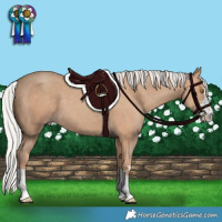 Horse Color:Silver Classic Champagne 