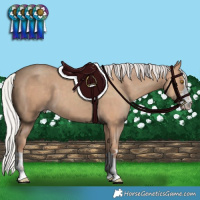 Horse Color:Silver Classic Champagne 