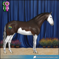 Horse Color:Gray Bay Splash 