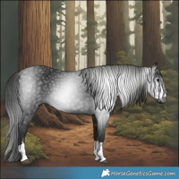 Horse Color:Gray Black