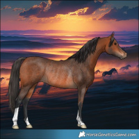 Horse Color:Brown Rabicano 