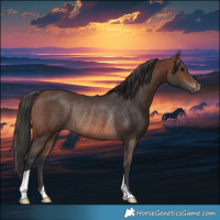 Horse Color:Brown Rabicano 