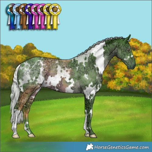 Horse Color:Watercolor White Spotted Chocolate Silver Black Chinchilla Ice 