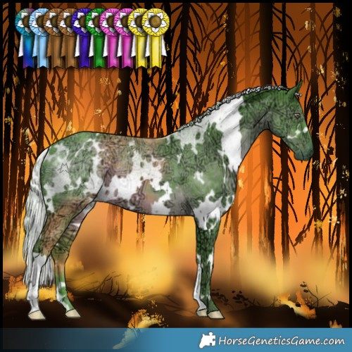 Horse Color:Watercolor White Spotted Chocolate Silver Black Chinchilla Ice 