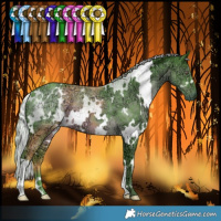 Horse Color:Watercolor White Spotted Chocolate Silver Black Chinchilla Ice 