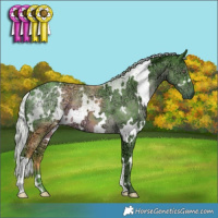 Horse Color:Watercolor White Spotted Chocolate Silver Black Chinchilla Ice 
