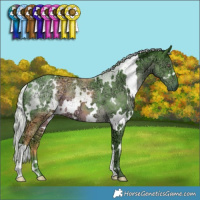 Horse Color:Watercolor White Spotted Chocolate Silver Black Chinchilla Ice