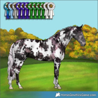 Horse Color:Watercolor White Spotted Chocolate Silver Smoky Creme Chinchilla Ice