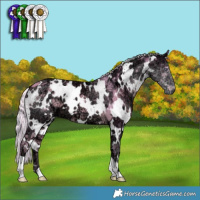 Horse Color:Watercolor White Spotted Chocolate Silver Smoky Creme Chinchilla Ice
