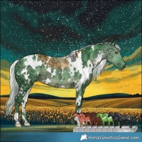 Horse Color:Watercolor White Spotted Chocolate Silver Black Chinchilla Ice 