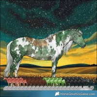 Horse Color:Watercolor White Spotted Chocolate Silver Black Chinchilla Ice 