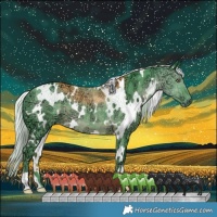 Horse Color:Watercolor White Spotted Chocolate Silver Black Chinchilla Ice 