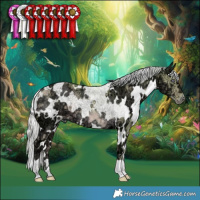 Horse Color:Watercolor White Spotted Chocolate Silver Smoky Creme Chinchilla Ice 