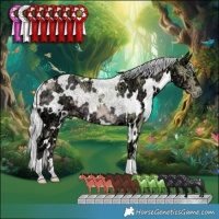 Horse Color:Watercolor White Spotted Chocolate Silver Smoky Creme Chinchilla Ice 