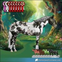 Horse Color:Watercolor White Spotted Chocolate Silver Smoky Creme Chinchilla Ice 
