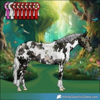 Horse Color:Watercolor White Spotted Chocolate Silver Smoky Creme Chinchilla Ice 