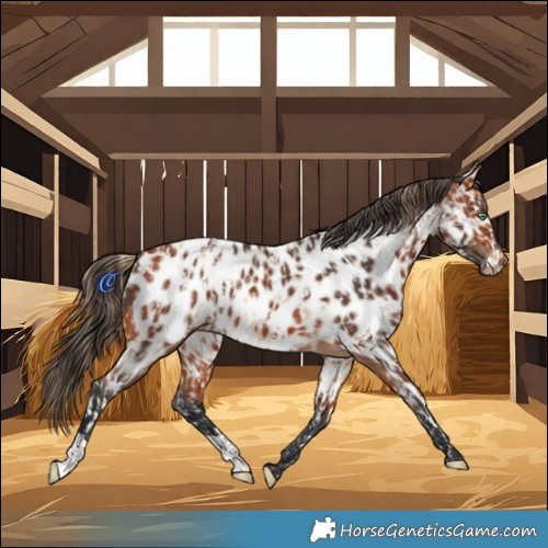 Horse Color:Amber Cream Champagne Near Leopard  and Bay Near Leopard 