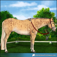 Horse Color:Chestnut  and Palomino 