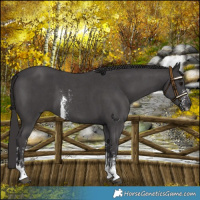 Horse Color:Smoky Black Sabino 