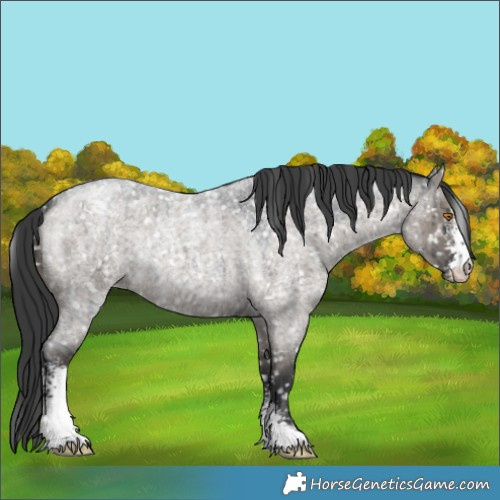 Horse Color:Grullo Roan Sabino Snowflake VarnishRabicano Brindle 