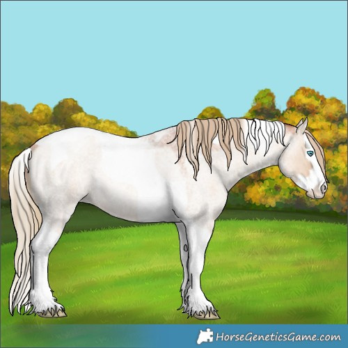 Horse Color:Gold Champagne Roan Dun Splash Tobiano Appaloosa Rabicano 