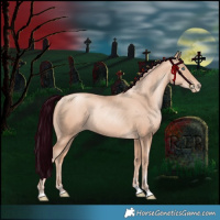 Horse Color:Gold Champagne Pearl Rabicano  and Gold Champagne Pearl Rabicano 