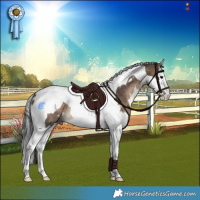 Horse Color:White Spotted Brown Dun Splash Tobiano Rabicano
