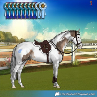 Horse Color:White Spotted Brown Dun Splash Tobiano Rabicano 