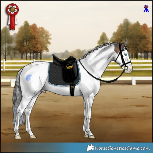 Horse Color:White Spotted Brown Dun Splash Tobiano Appaloosa Rabicano 