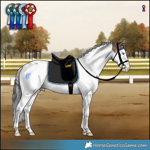 Horse Color:White Spotted Brown Dun Splash Tobiano Appaloosa Rabicano