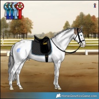 Horse Color:White Spotted Brown Dun Splash Tobiano Appaloosa Rabicano