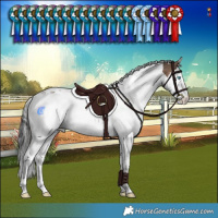 Horse Color:White Spotted Brown Dun Splash Tobiano Varnish Rabicano 
