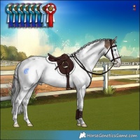 Horse Color:White Spotted Brown Dun Splash Tobiano Appaloosa Rabicano