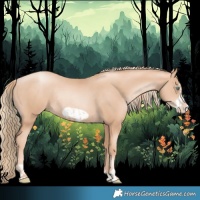 Horse Color:Gold Champagne Pearl Rabicano  and Gold Champagne Pearl Frame Rabicano 
