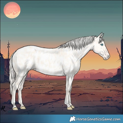 Horse Color:Cremello Dun Appaloosa  and Cremello Dun Appaloosa 