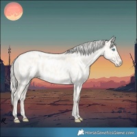 Horse Color:Cremello Dun Appaloosa  and Cremello Dun Appaloosa 