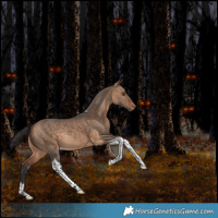Horse Color:Bay Dun Tobiano Appaloosa Rabicano