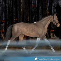 Horse Color:Bay Dun Tobiano Varnish Rabicano 