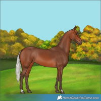 Horse Color:Silver Brown 
