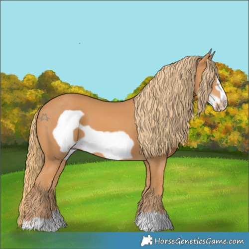 Horse Color:Chestnut Frame